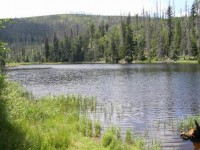 By Mojmir Churavy - Own work, CC BY-SA 4.0, https://commons.wikimedia.org/w/index.php?curid=50430490