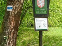 By Marie Čcheidzeová - Own work, CC BY-SA 4.0, https://commons.wikimedia.org/w/index.php?curid=68662003
