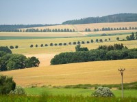 https://www.adapterraawards.cz/200-kilometru-aleji-na-Podblanicku