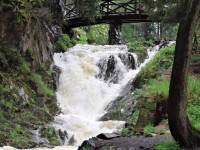 https://www.pruhonickypark.cz