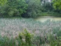 Vraťme vodu přírodě – Dvě nová Místa pro přírodu na Karvinsku