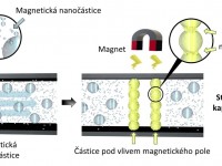 https://iqlandia.cz; Ztuhnutí magnetoreologické kapaliny s přidanými nanočásticemi