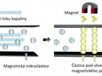 https://iqlandia.cz; Princip „zamrznutí” magnetoreologické kapaliny v magnetickém poli