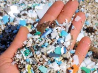 Mikroplasty jsou plastové částice nebo úlomky o velikosti menší než 5 milimetrů