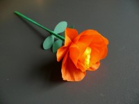 https://iqlandia.cz/